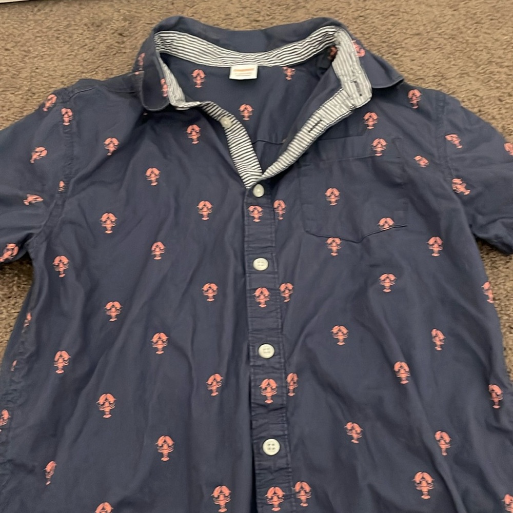 Gymboree button down